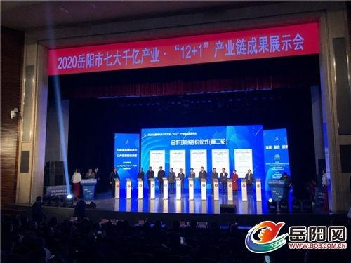 岳阳爆料新闻最新消息今天,突发事件引发关注，详情即将揭晓