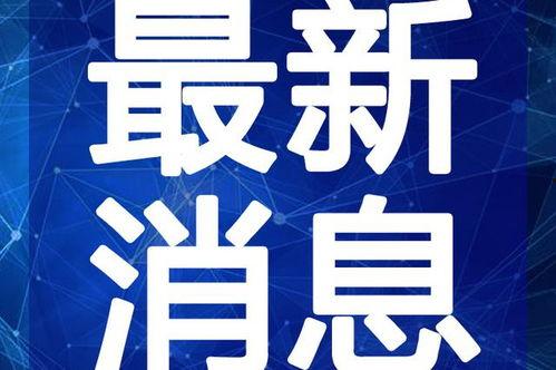 泗阳最新爆料新闻视频大全,视频大全揭示热点事件全貌